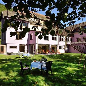 Logis Hotel Des Vosges